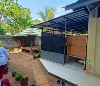 Taman Belakang